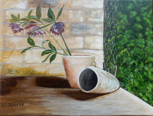 Helleborus 1