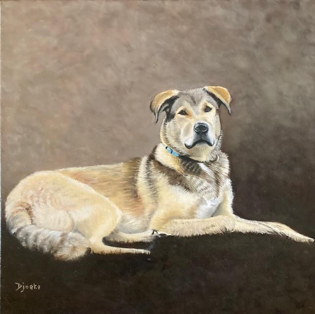 Hond