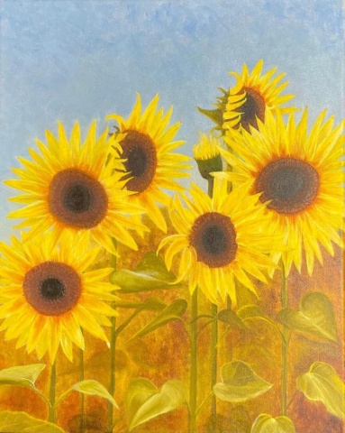 Zonnebloemen